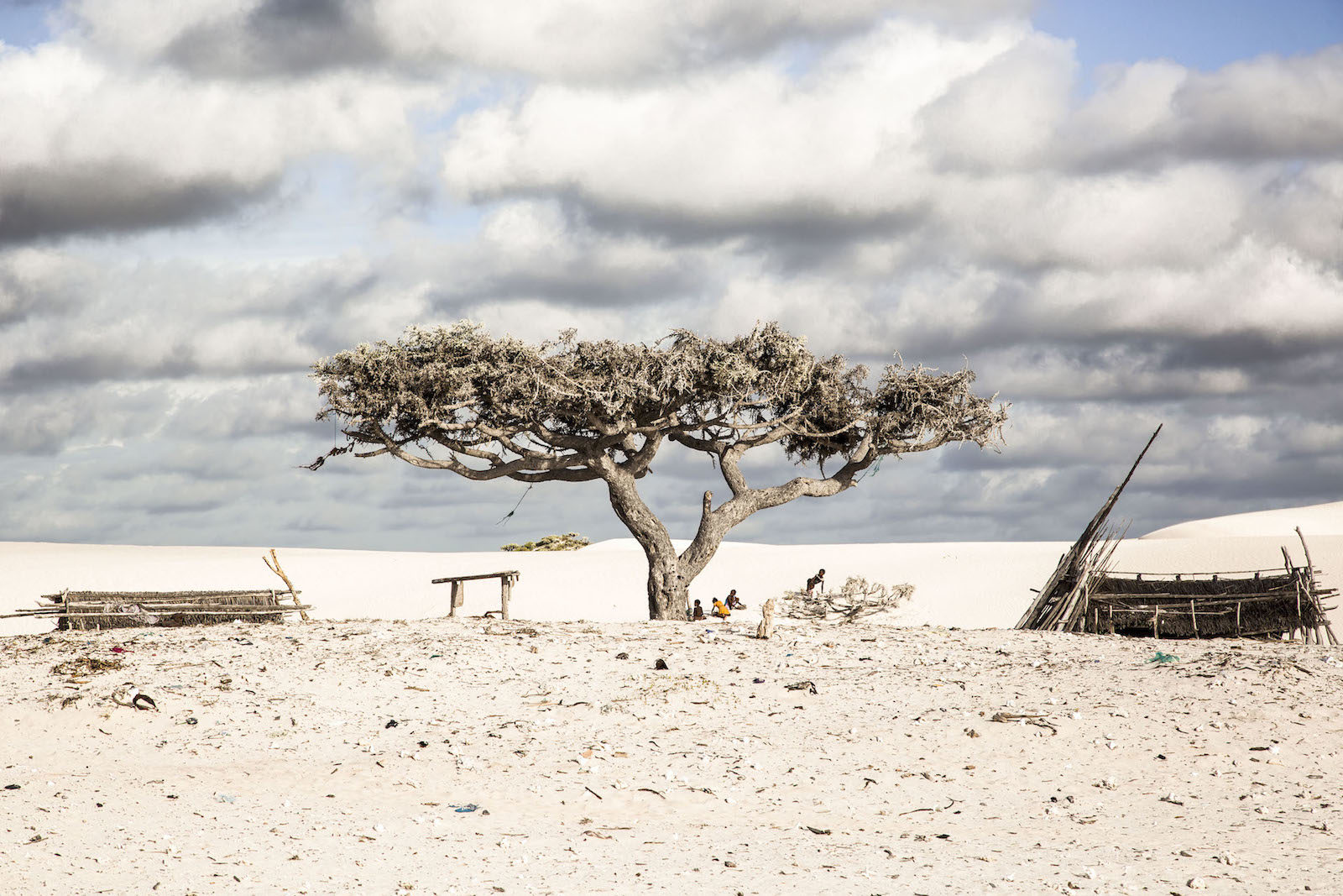 tirage photo arbre de vie chez les vezos de madagascar