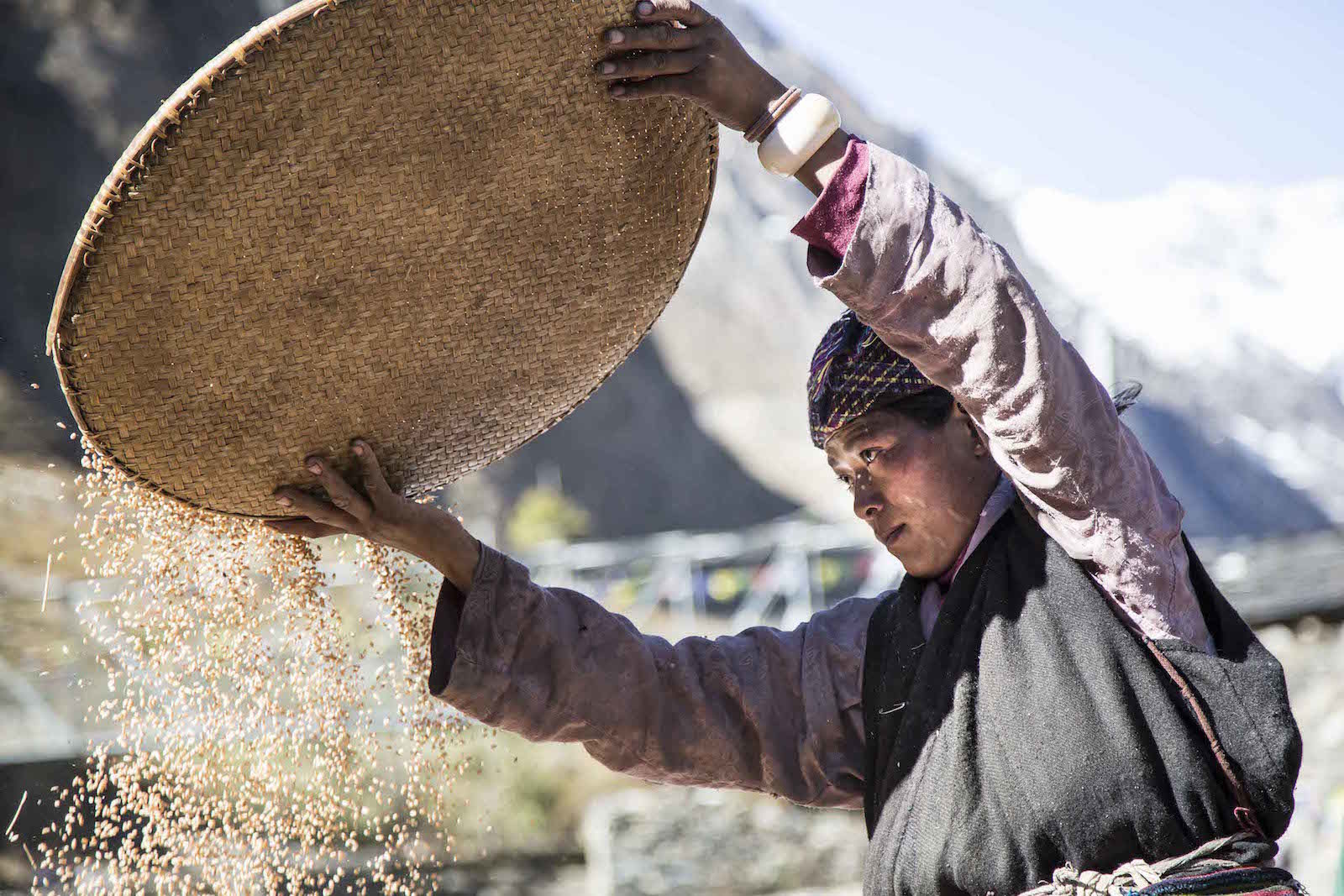 tirage photo cereales chez les tsumbas du nepal